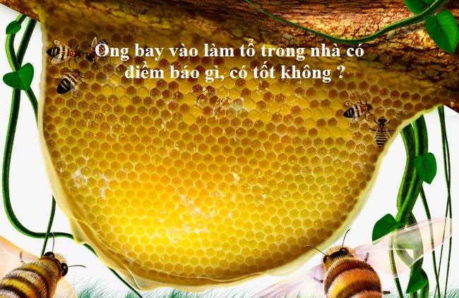 ong bay vao lam to trong nha co tot khong